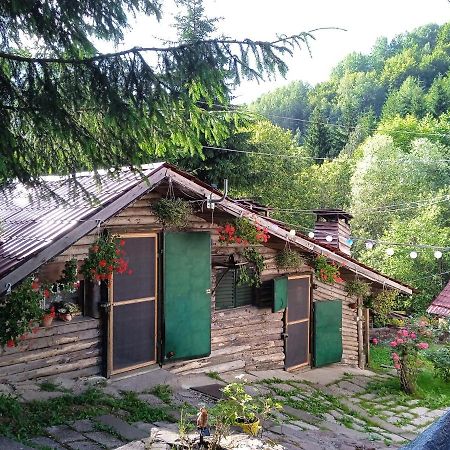 Apartamento Zimska Idila Crni Vrh Exterior foto