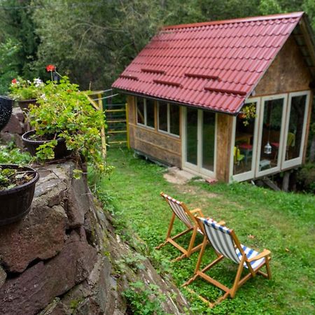 Apartamento Zimska Idila Crni Vrh Exterior foto